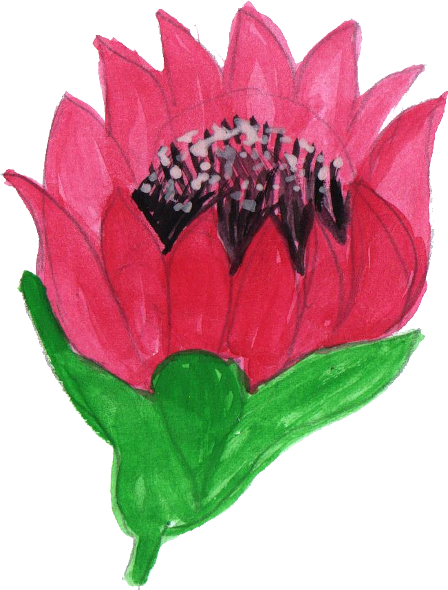 Free Download - Watercolor Painting (651x858)