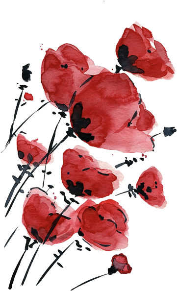 Valentine Sale Poppies Field On A Windy Day Original - Watercolor Poppy Tattoo Design (500x711)