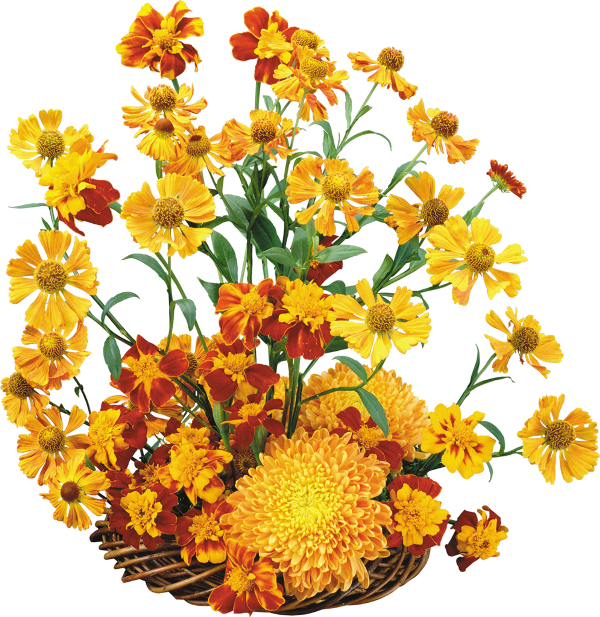 Flower Clip Art - Flower Clip Art (600x617)