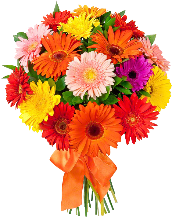 Crown Transparent Png Sticker - Most Beautiful Birthday Flowers (600x720)
