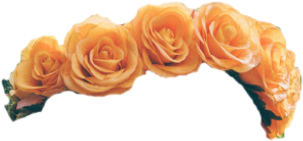 Report Abuse - Orange Flower Crown Transparent (1063x496)