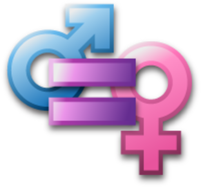 Gender Equality In The Workplace - Gender Equality No Background (800x792)