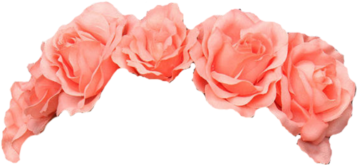 Image - Flower Crown Pink Png (500x244)