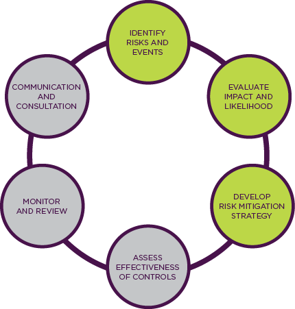 Risk Management Process - Lean Startup (430x451)