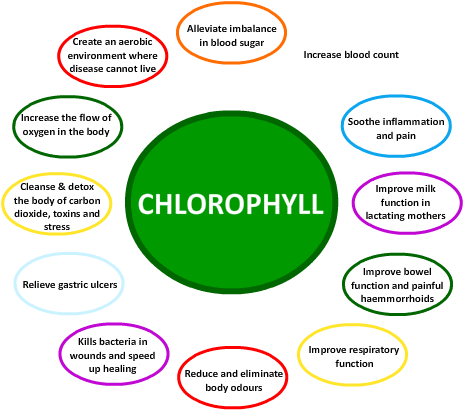 Falling In Love With A Chlorophyll-rich Diet - Chlorophyll Works (470x420)