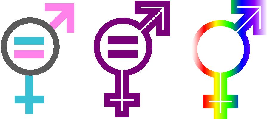 Equality - Colorful Gender Equality Symbol (895x402)