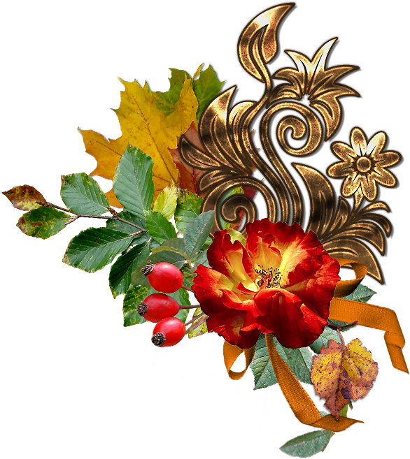 Arončin Blogísek - Illustration (603x673)