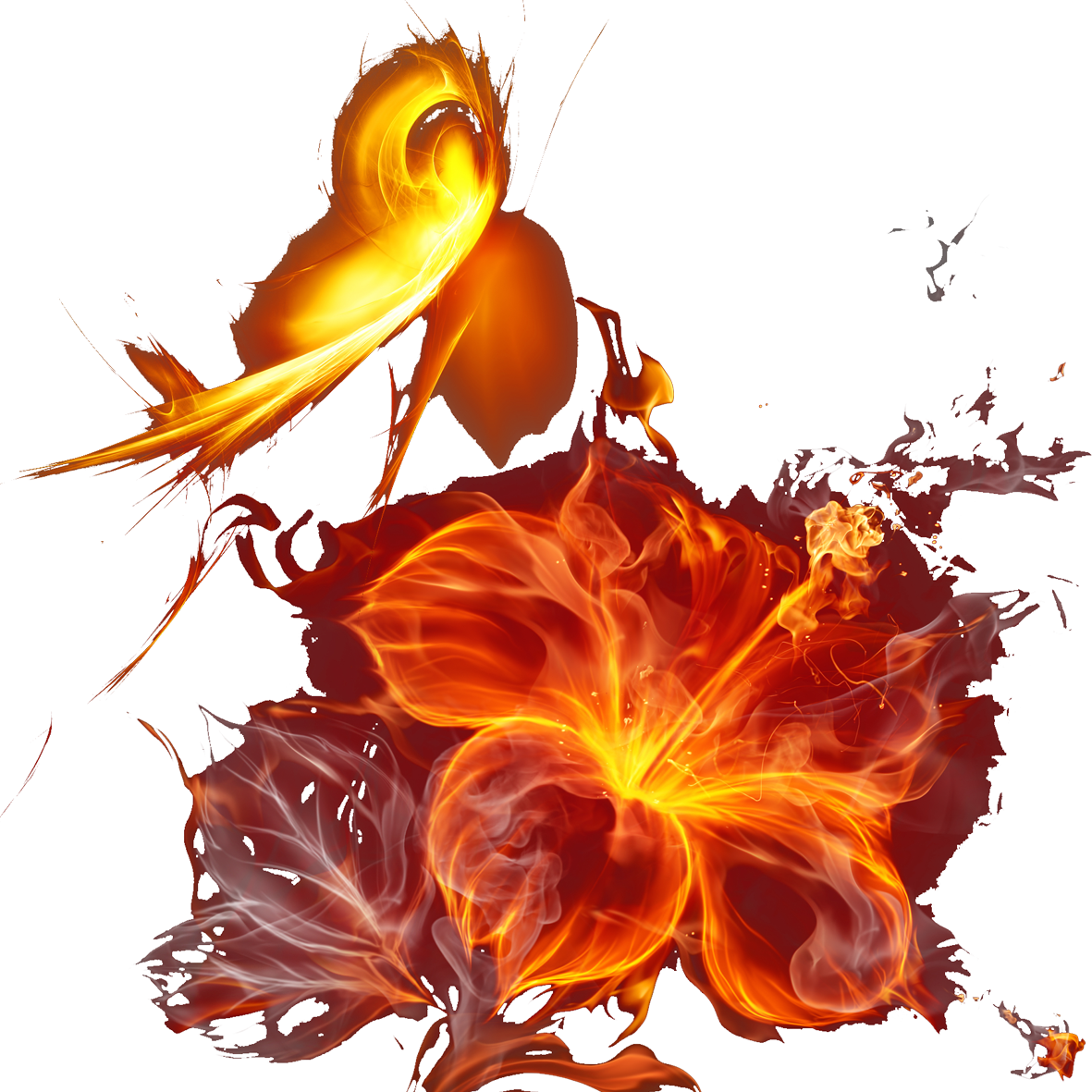 Petal Desktop Wallpaper Botany Illustration - Petal Desktop Wallpaper Botany Illustration (1181x1181)