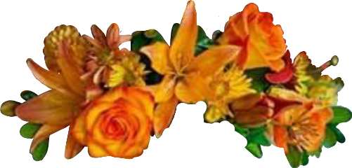 Flowercrown Headband Fall Hellofall Autumncolors Freetoedit - Centre De Table Citrouille (501x240)