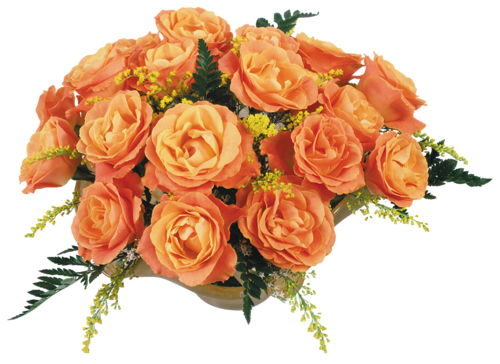 Orange Roses In Baskets, - S Prazdnikom 8 Marta (500x364)