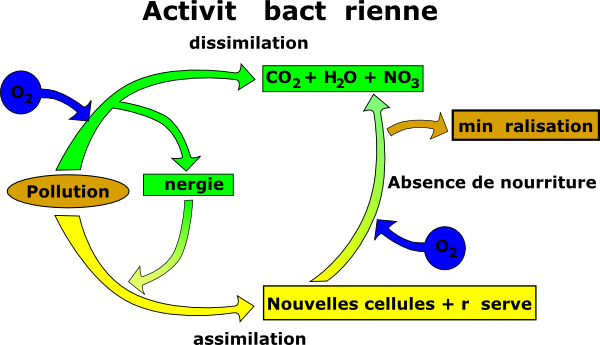 Elimination Of Pollution Clip Art At Clker - Pollution Clipart (600x345)