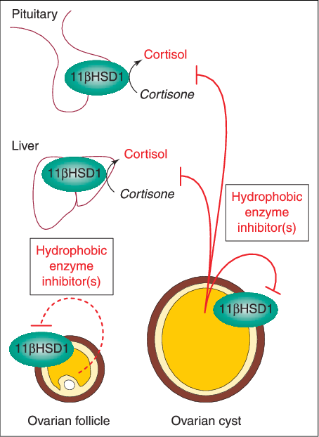 Download - Diagram (454x622)