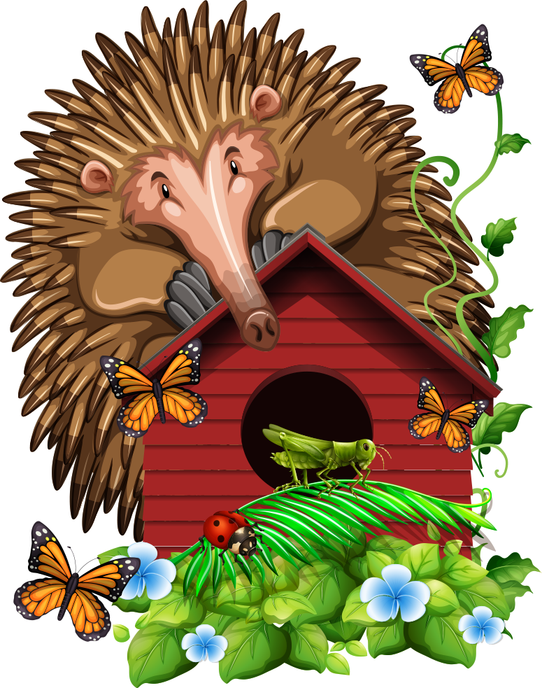 Insect Butterfly Cartoon Illustration - Insect Butterfly Cartoon Illustration (775x983)