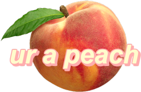 Peach Fruit (500x332)