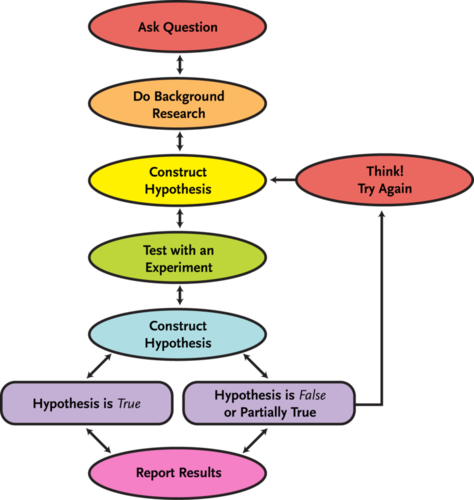 Reading The Nature Of Science Geology Scientific Method - Scientific Method Flow Chart (474x500)