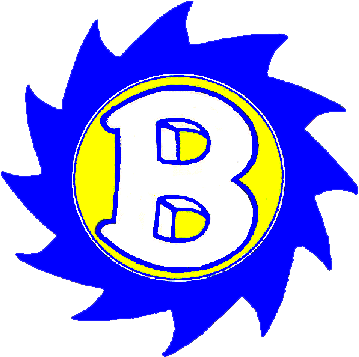 Brooklyn Hurricanes - Brooklyn High School Logo (372x375)