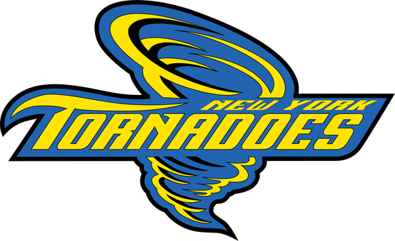 Picture - New York School For The Deaf (557x340)