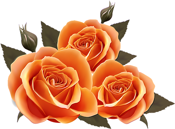 Orange Roses - Birthday Wishes For Best Friend (600x447)