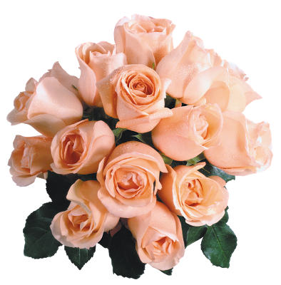 Rosa ,en Formato Png - Roses Saumon (394x400)