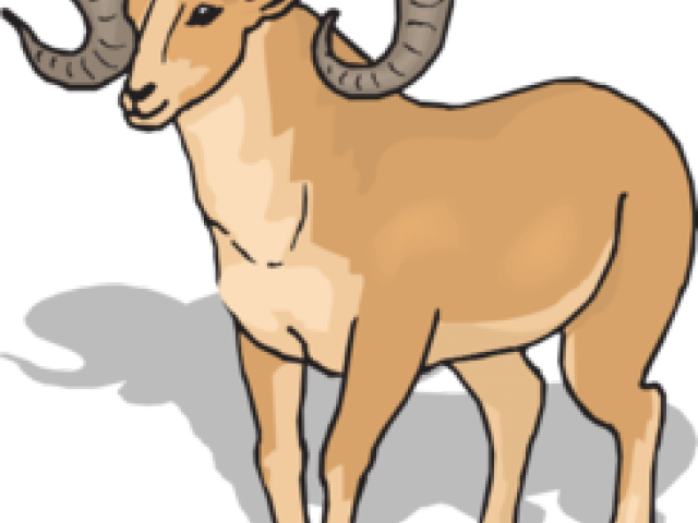Dall Sheep Clipart - Ram Clip Art (640x480)