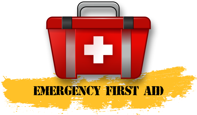 Emergency First Aid Training - Red Cross Cpr Instructor (688x417)