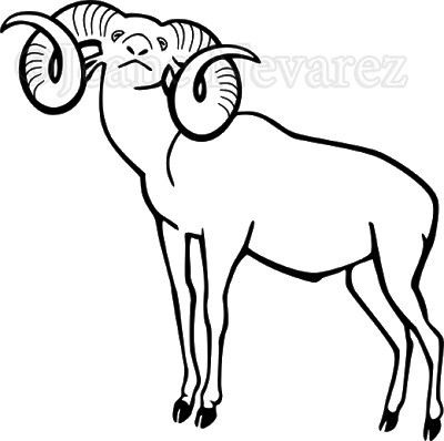 Proud Ram - Mouflon (400x398)