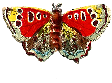 This Is An Antique, Victorian Scrap Of An Insect Die - Speckled Wood (butterfly (527x336)