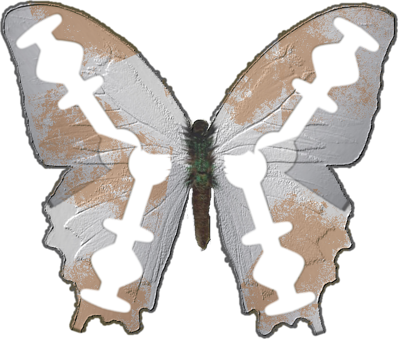 Razorblade Butterfly - Papilio Machaon (780x663)