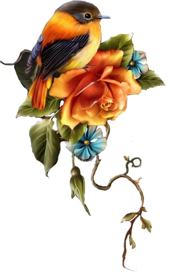 Pin By Stasia Marta On Ptaki - Creaciones Maritza Buenos Dias (635x999)