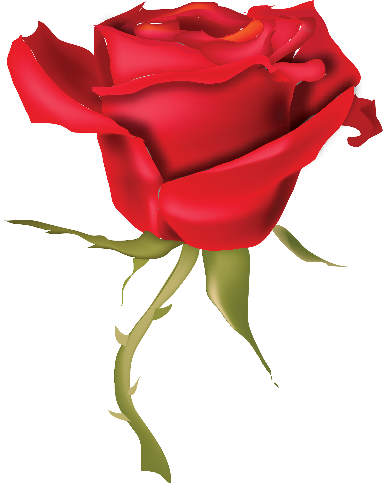 Rose Drawing Clip Art - Rose Drawing Clip Art (1619x2034)