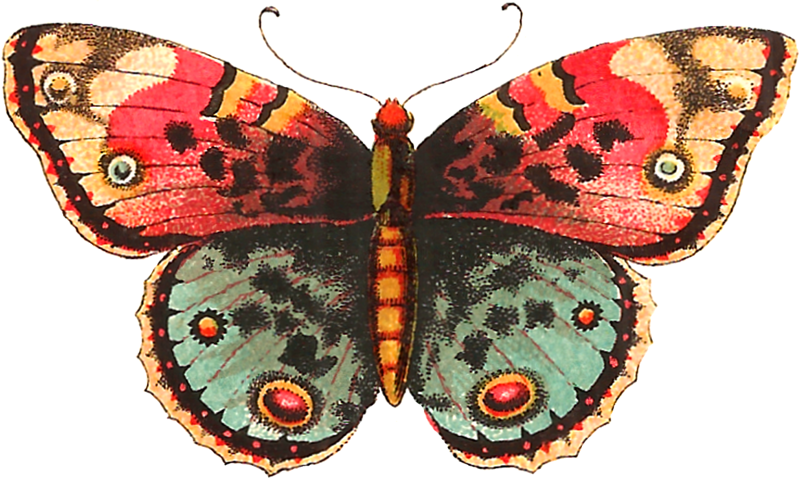 Digital Butterfly Crafting Downloads - Vintage Butterfly (1600x957)