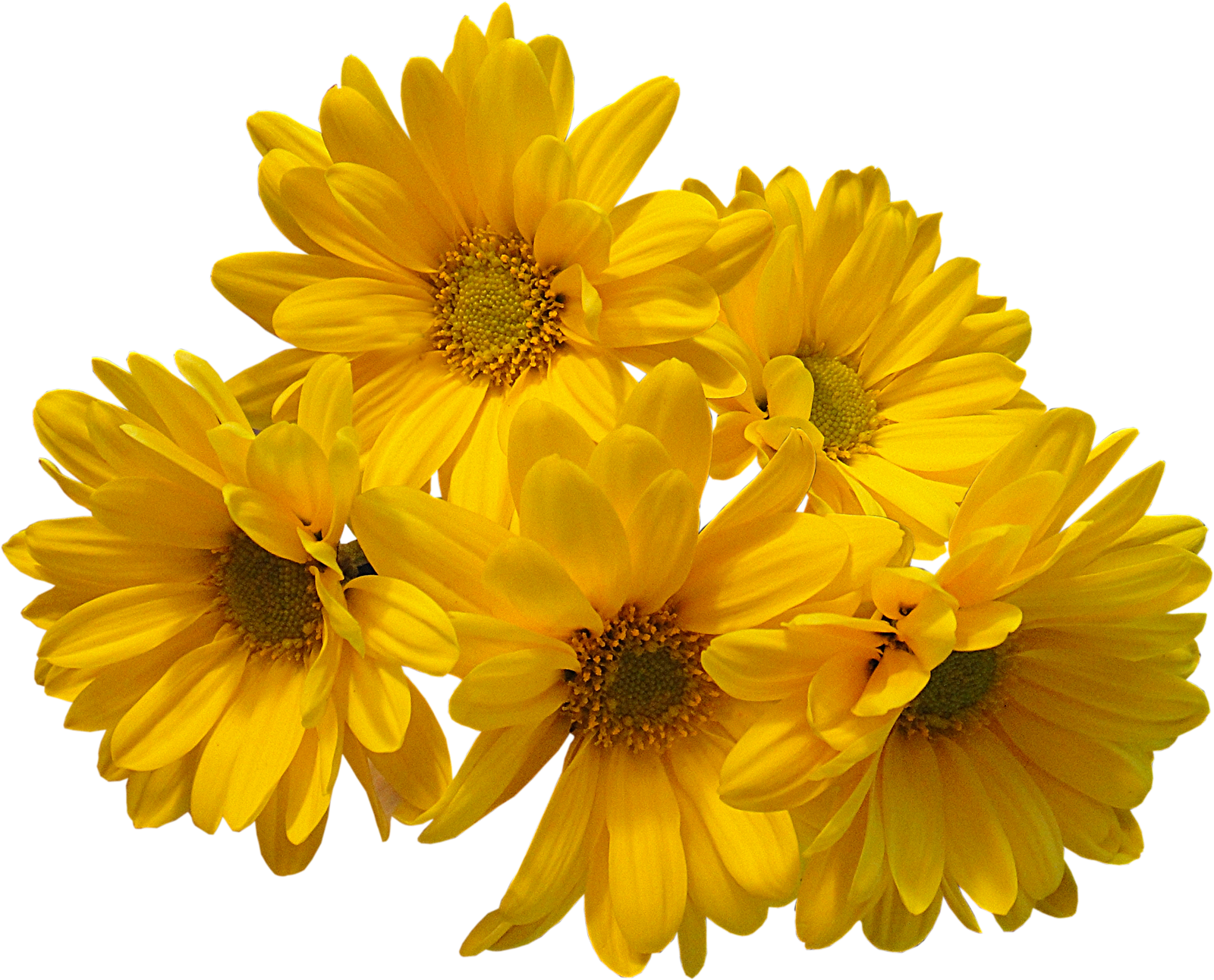 Yellow Flowers Bouquet Png Transparent Image - Yellow Flowers Transparent Background (1600x1292)