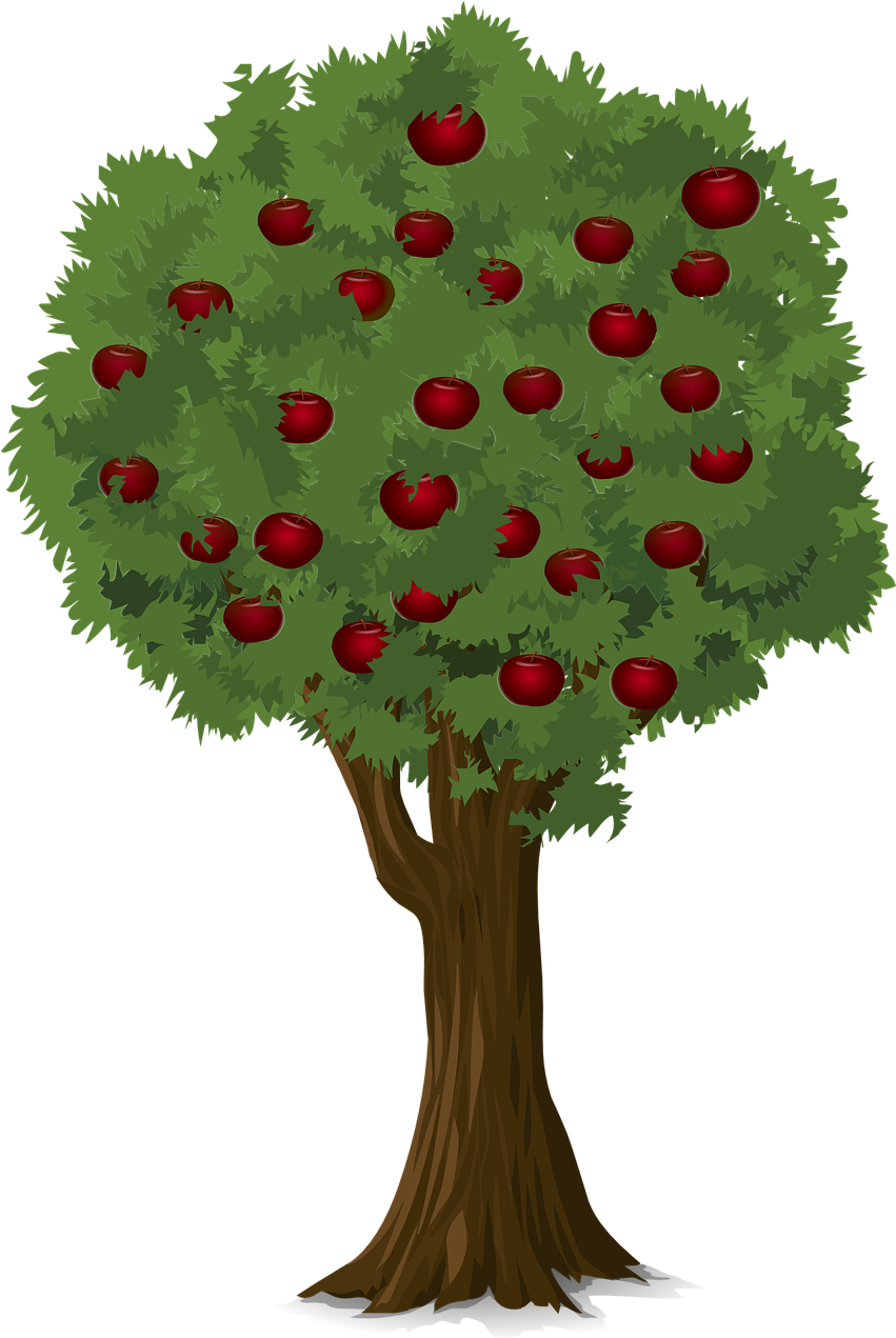Tree Apple Apple Tree Nature Png Image - Arvore De Maça Png (850x1280)