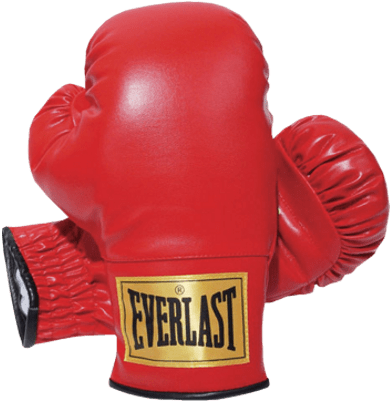 Boxing - Everlast Boxing Gloves Png (400x400)
