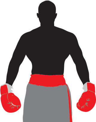 The Mayweather Experience - Imagenes De Aracnido Jr (325x424)