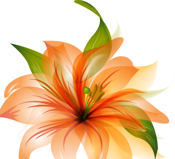 Flower Vector Hq Png By Cherryproductionsorg - Orange Lily Flower Shower Curtain (571x517)
