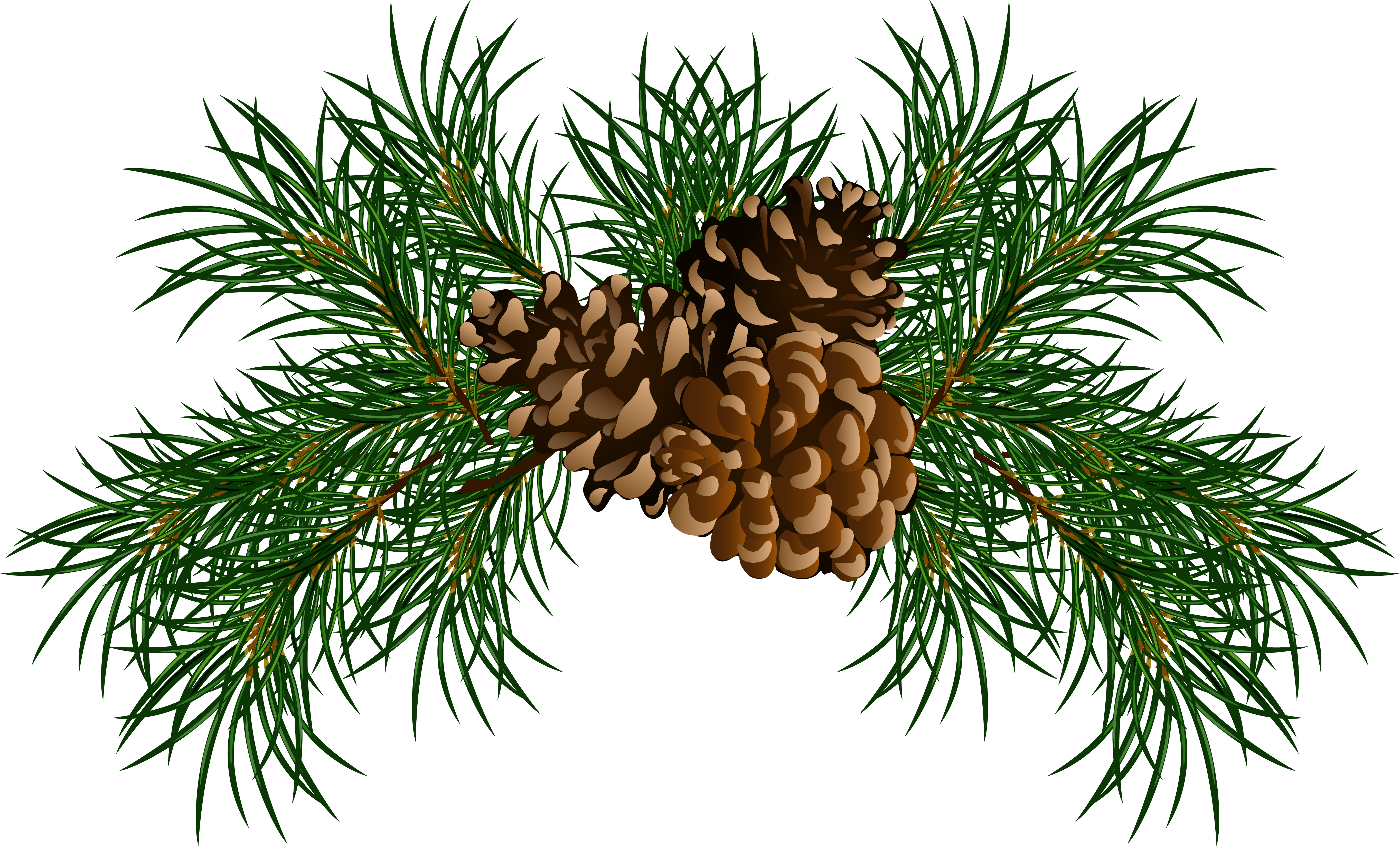 Christmas Pine Cone Clipart - Pine Cones Clip Art (5451x3293)