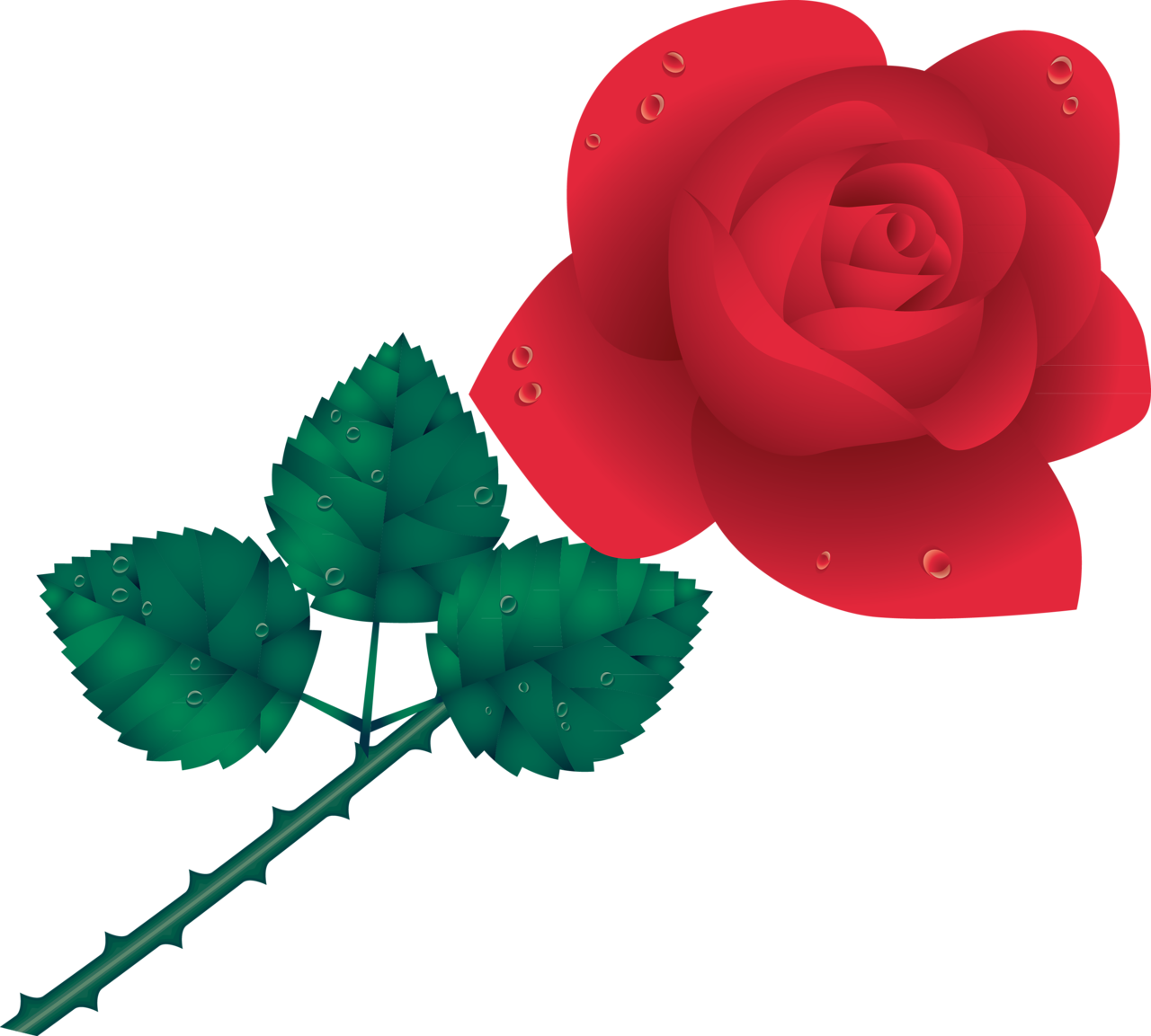 Garden Roses Cdr - Garden Roses Cdr (1280x1153)
