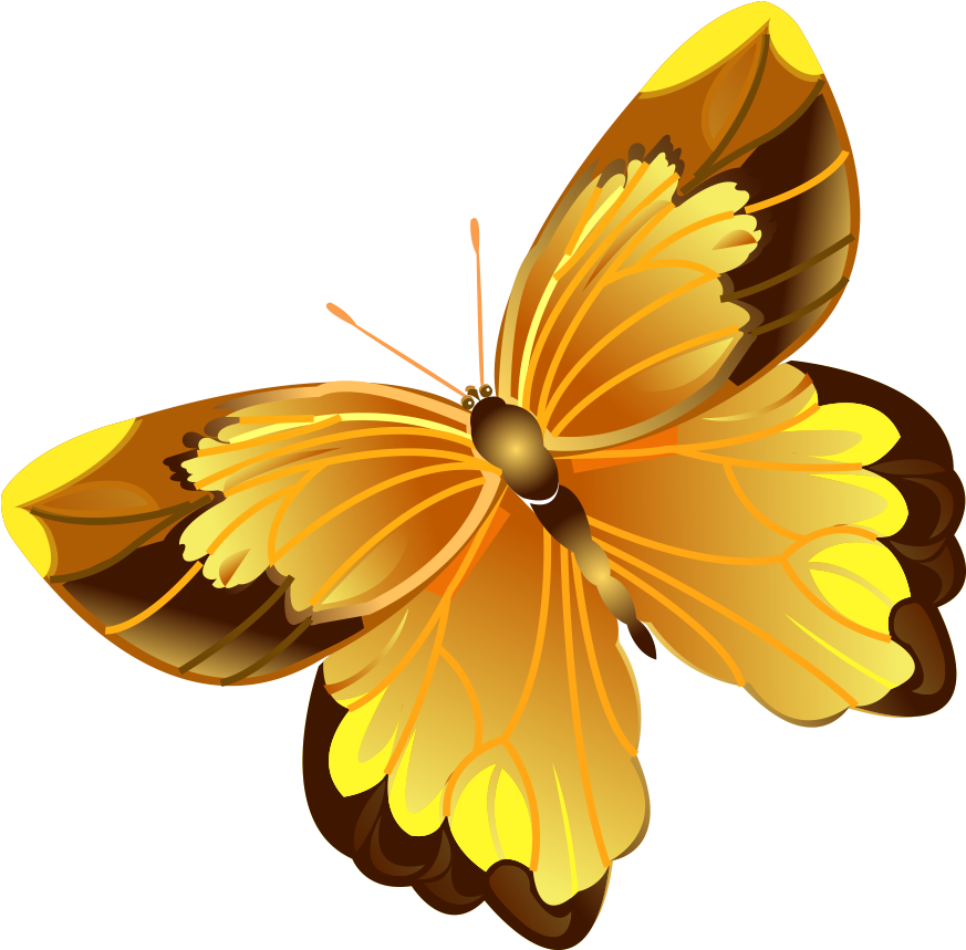 Butterfly Software Wallpaper - Mariposa Amarilla Png (1181x1181)