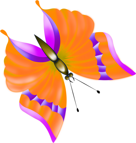 Missis - Berina - Butterfly (980x1024)