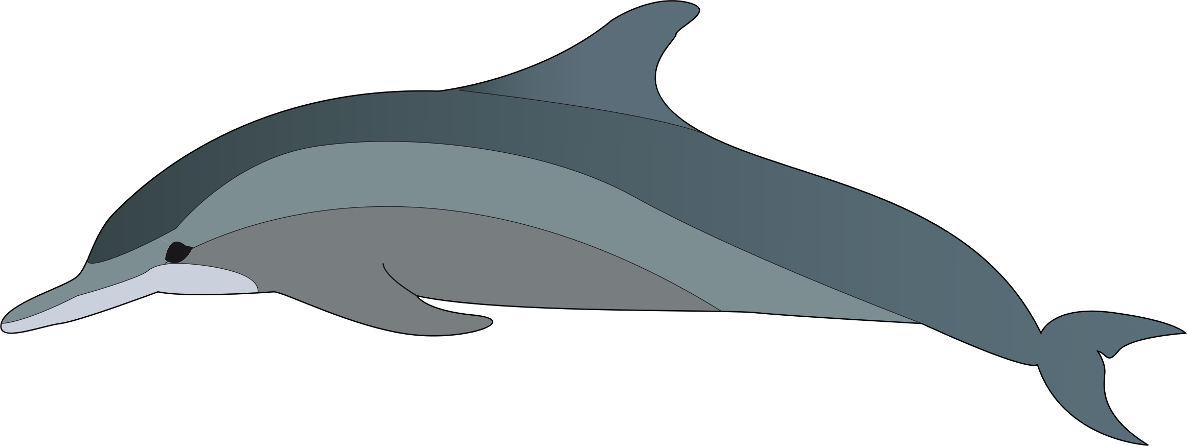 Dolphin - Dolphin Clip Art Png (2322x873)
