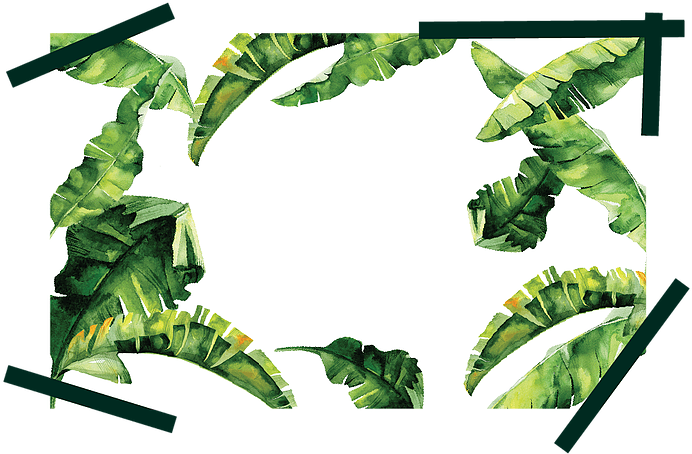 Brands Included Ykeni, Tarik Jeans, Pestle & Mortar - Chard (875x453)