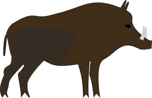 Animal Boar Forest Nature Boar Boar Boar B - Wild Boar Clipart (528x340)