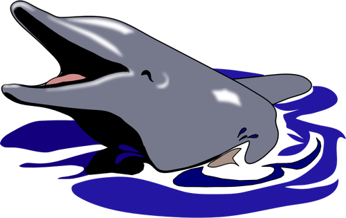 Dolphin Smiling - Delfin (500x315)