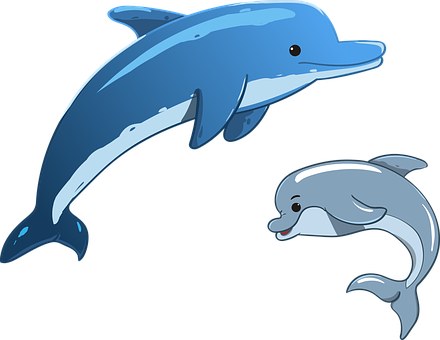 17 23 - Dolphin Cartoon (440x340)