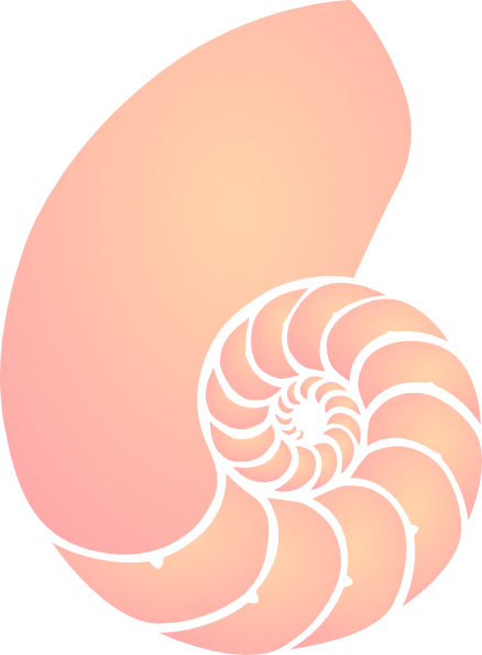 Coral Nautilus Shell Clip Art At Clker Com Vector Clip - Coral Clip Art (438x595)