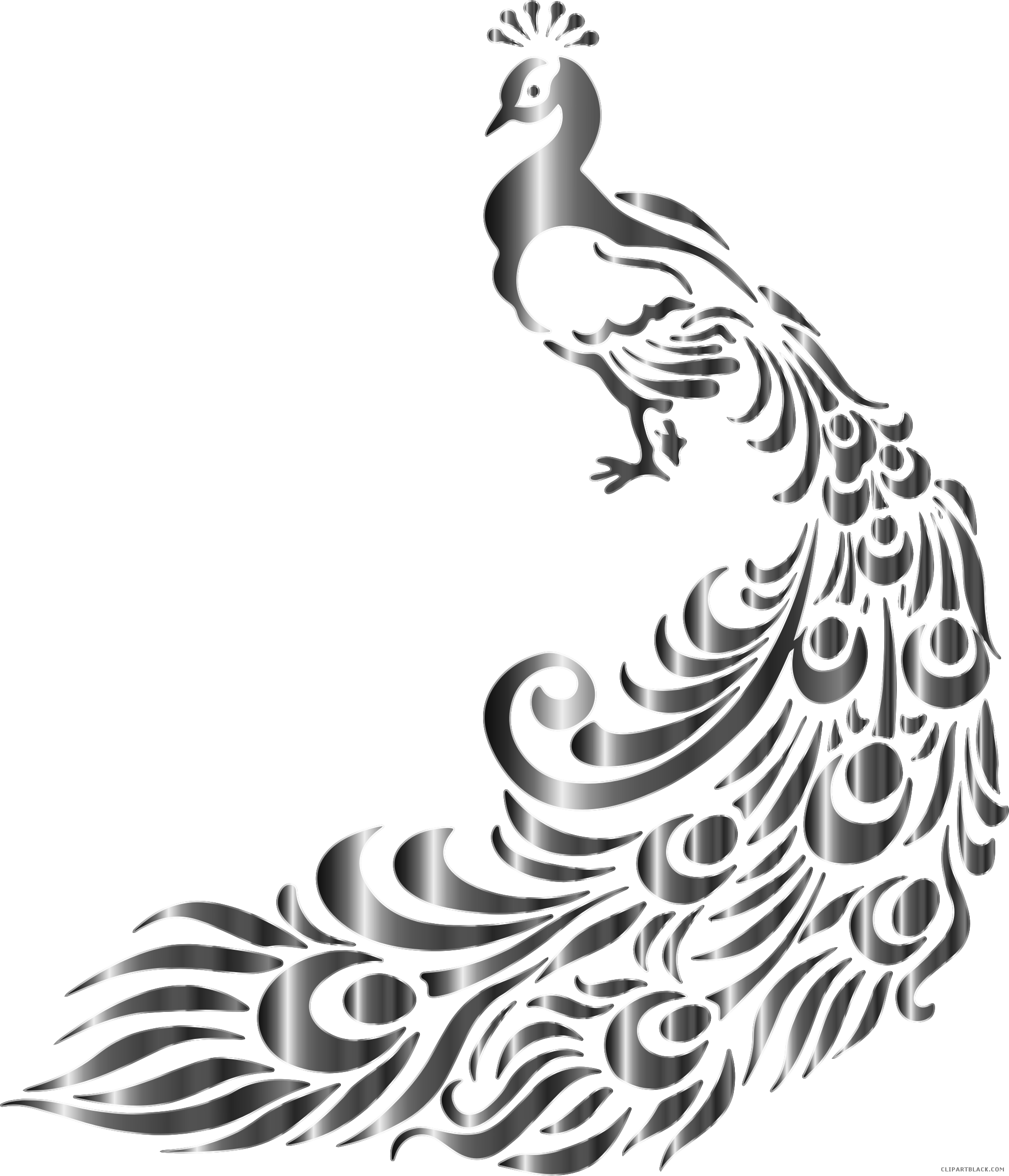 Chromatic Peacock Animal Free Black White Clipart Images - Black And White Peacock Vector (1980x2308)