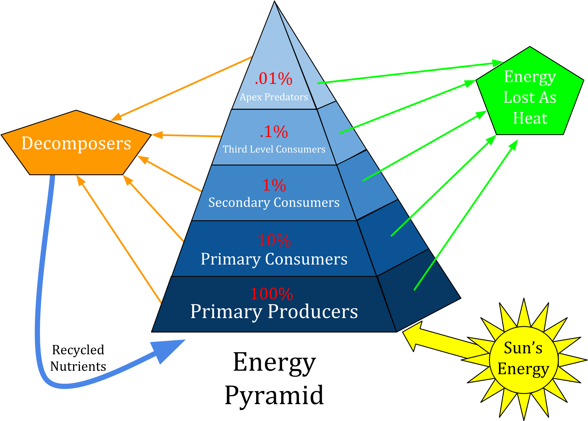 It's Shaped Like A Pyramid Because It Gets Less And - Pyramid Of Energy Biomass And Numbers (2000x1438)