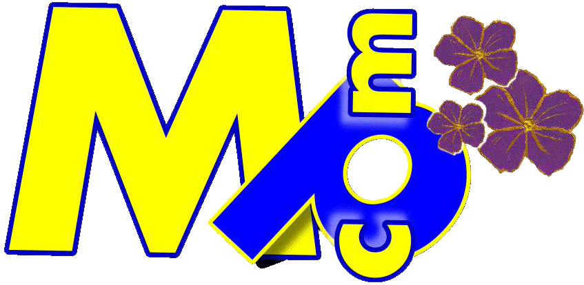 La Enciclopedia Virtual De Los Hermanos Maristas - La Enciclopedia Virtual De Los Hermanos Maristas (856x424)