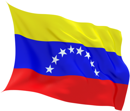Flag Of Venezuela National Flag Gallery Of Sovereign - Flag (640x480)